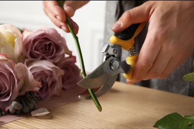 Picture of Professional Garden Pruner Scissors – Sharp Stainless Steel Bypass Secateur for Plant & Branch Cutting