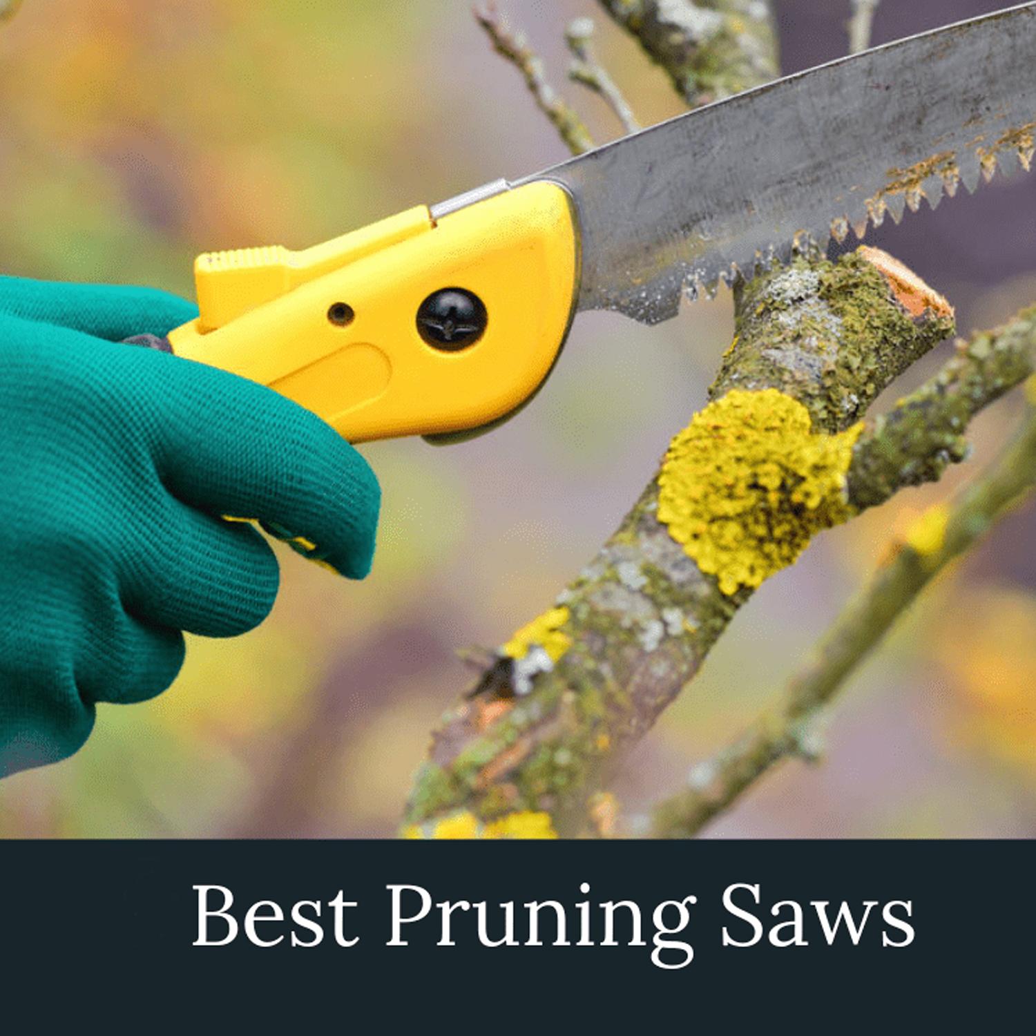 Picture of HSS Pruning Portable Folding Hand Saw (Multicolor)