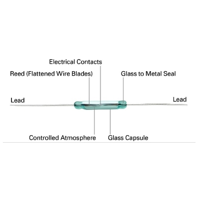 Picture of Magnet Sensor Switch / Glass Reed Switch (2 Pieces) - Normally Open (Multicolor)
