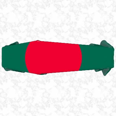 Picture of "Bangladesh Coffin Flag – Premium Large-Sized National Flag for Funeral & Memorial Ceremonies