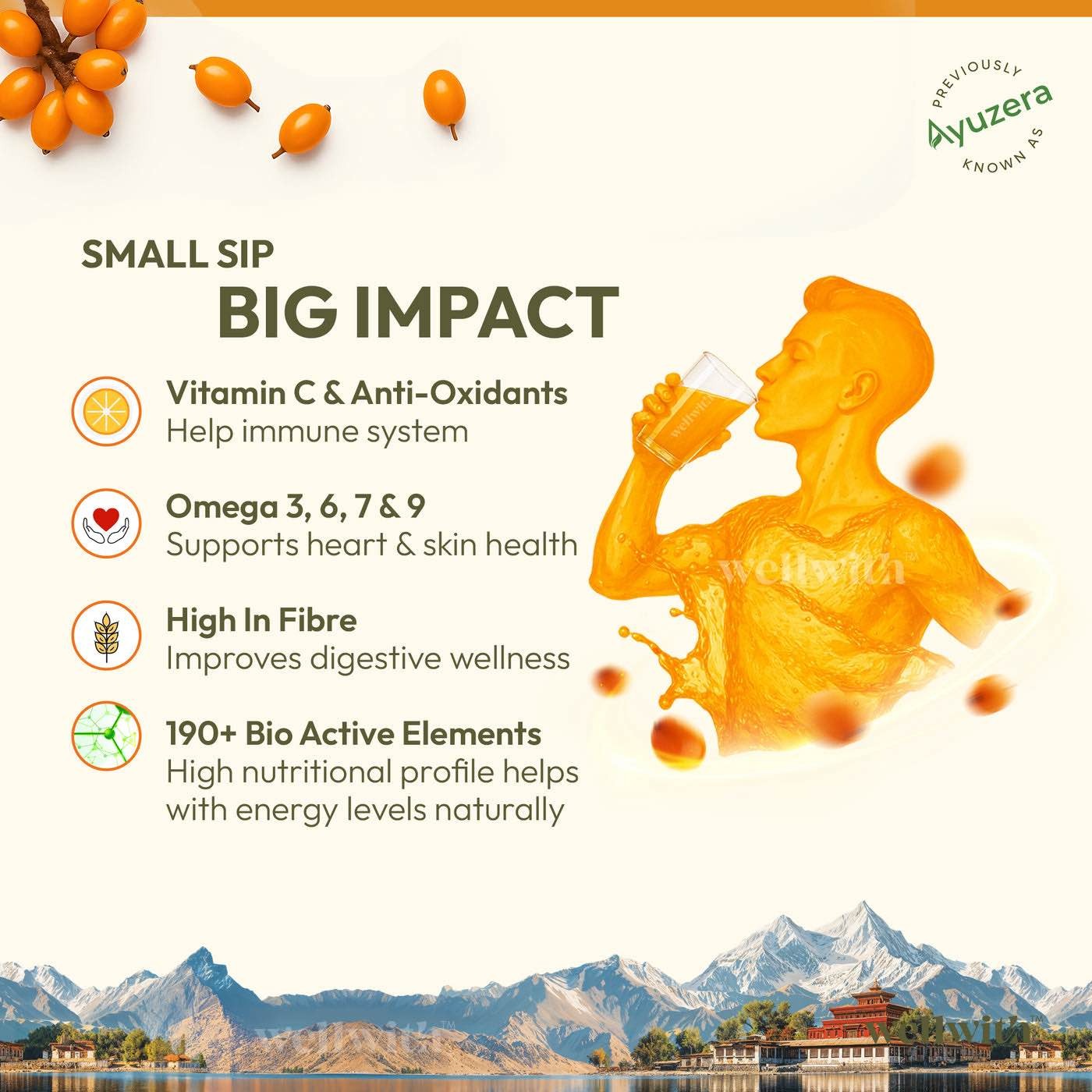Picture of SEA BUCKTHORN JUICE (PULP) 300ML