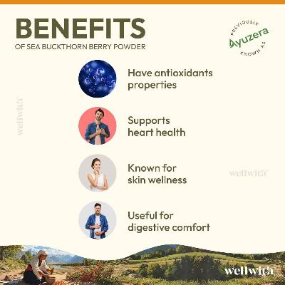 Picture of SEA BUCKTHORN DRY BERRY POWDER 100GM