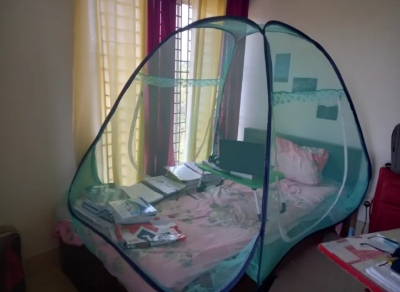 Picture of Foldable Self standing Mosquito net for double bed Blue 