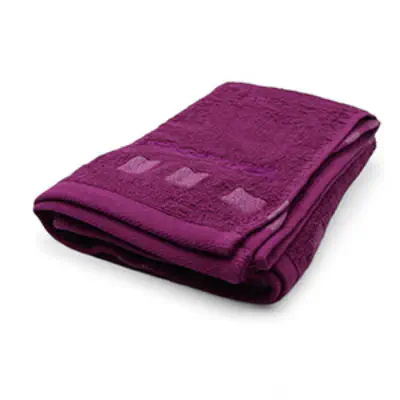 Picture of LOTTO PURPLE TOWELS 0FE1011