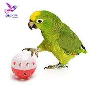 Picture of Cockatiel, Parrot, Love Birds Wood Toy