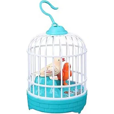 Picture of Bird Singing Toys Multicolor