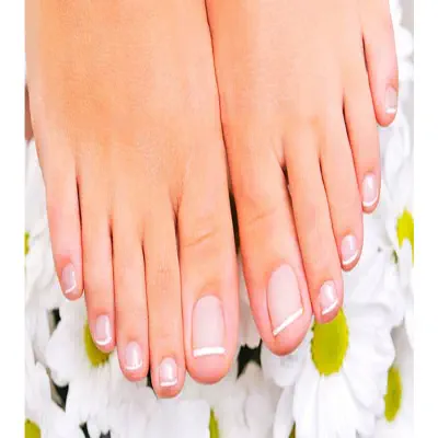 Picture of নখের কোনা সোজা করার অত্যাধুনিক যন্ত্র (Nail Repair)