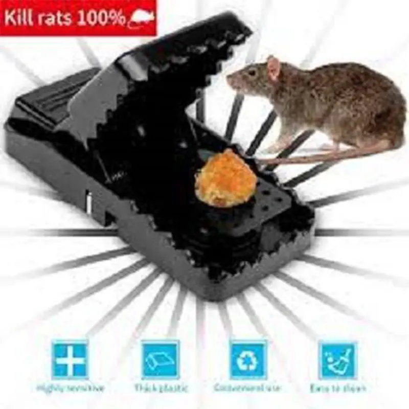 Picture of Mouse Killer Trap (5×3×3 inches) 