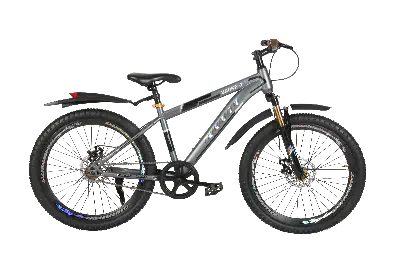 Picture of Duranta steel 1 speed 24 Inch Drone-07 Grey Bicycle