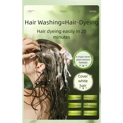 Picture of Hair Color Dye Shampoo Pure Style Plant Bubble Dyeing Hair Dye Shampoo-BROWN